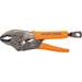 Curved and Long Nose Pliers, 2 Piece